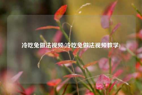 冷吃兔做法视频(冷吃兔做法视频教学)