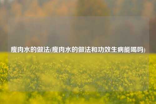 瘦肉水的做法(瘦肉水的做法和功效生病能喝吗)