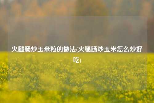 火腿肠炒玉米粒的做法(火腿肠炒玉米怎么炒好吃)