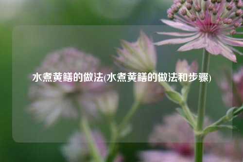 水煮黄鳝的做法(水煮黄鳝的做法和步骤)