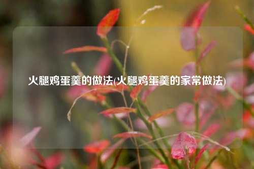 火腿鸡蛋羹的做法(火腿鸡蛋羹的家常做法)