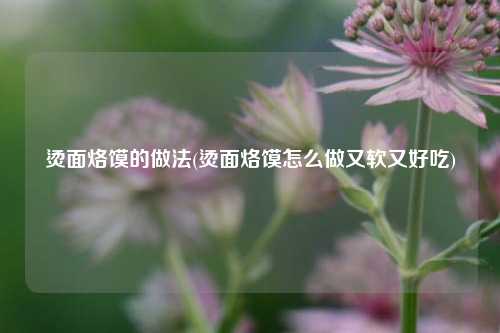 烫面烙馍的做法(烫面烙馍怎么做又软又好吃)