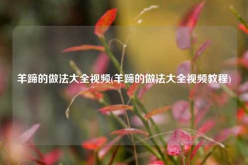 羊蹄的做法大全视频(羊蹄的做法大全视频教程)