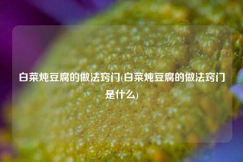 白菜炖豆腐的做法窍门(白菜炖豆腐的做法窍门是什么)