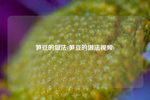 笋豆的做法(笋豆的做法视频)
