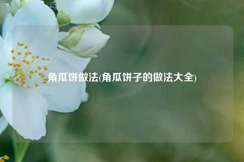 角瓜饼做法(角瓜饼子的做法大全)