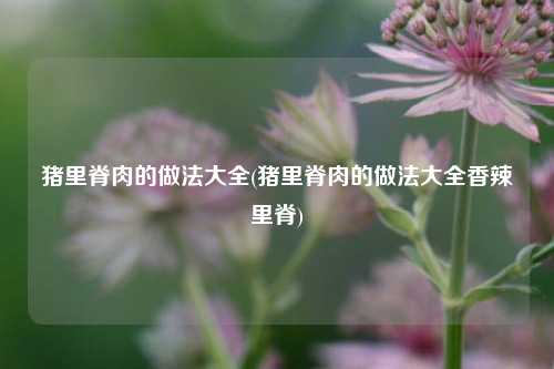 猪里脊肉的做法大全(猪里脊肉的做法大全香辣里脊)