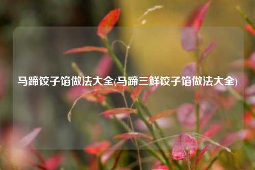 马蹄饺子馅做法大全(马蹄三鲜饺子馅做法大全)
