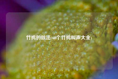竹鸡的做法(60个竹鸡叫声大全)