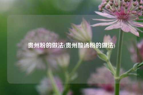 贵州粉的做法(贵州酸汤粉的做法)
