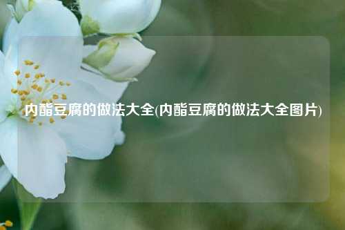 内酯豆腐的做法大全(内酯豆腐的做法大全图片)