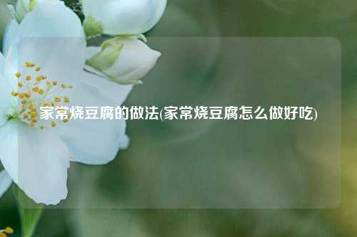 家常烧豆腐的做法(家常烧豆腐怎么做好吃)