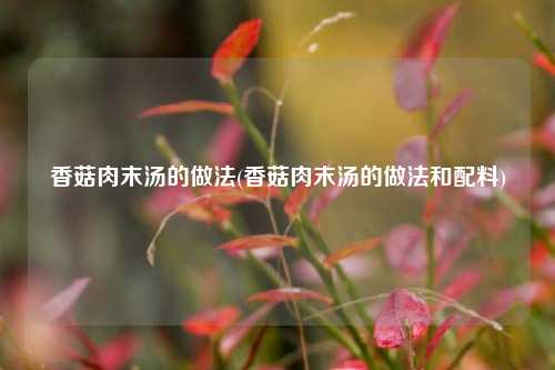 香菇肉末汤的做法(香菇肉末汤的做法和配料)